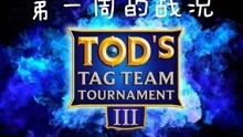 【惊！中韩2V2近乎全军覆没】Tod比赛Team Tag Tournament #3第一周