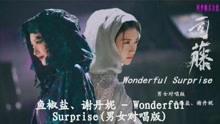  Wonderful Surprise (网剧《司藤》插曲男女对唱版)