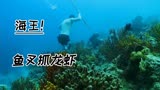 荒野求生第六季：贝爷化身海王，潜入海底拿鱼叉抓超大龙虾！