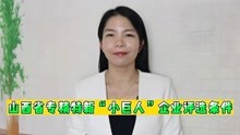 山西省“专精特新”小巨人企业评选条件