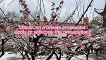China：Can a private prosecutor apply to withdraw th