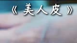 美人皮电影解说3