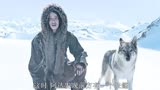 阿尔法：狼伴归途；男孩救下一条恶狼，从那以后，恶狼一直守护