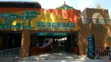 北京野生动物园，乘坐观光车，带大家参观猛兽体验区