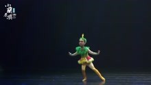 第七届“小兰花奖”全国小小舞蹈家独舞剧目《快乐的小布谷》
