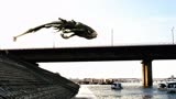 韩国灾难片《汉江怪物》，小鱼受病毒感染后，变成怪物袭击了人类