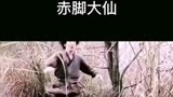 国产电影（赤脚大仙）