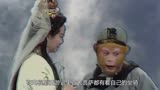 西游记：金毛犼有啥特殊的？四大菩萨都有坐骑，只有观音不坐