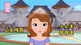 小公主苏菲亚：公主传奇一，苏菲亚成为王国最小公主的第一天。