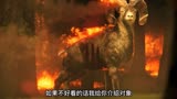 2023最新科幻神剧（狼群）
