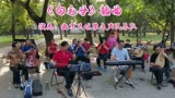 歌剧《白毛女》插曲，北京天坛琴之声民乐队演奏，太好听了