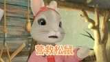彼得兔之营救松鼠行动，3—6岁儿童早教启蒙休闲益智动画片推荐