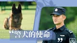 七小汪警犬队：人类最忠诚的伙伴，警犬早已是男子不可缺少的存在