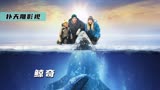 三头灰鲸被于冰层下，极低的气温连破冰船都开不进去，《鲸奇》