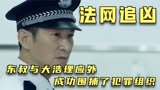 法网追凶：东叔与大浩理应外， 成功围捕了犯罪组织
