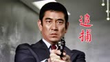 《追捕》1978年译制日本电影，高仓健、中野良子在中国红极一时
