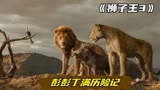 狮子王：彭彭和丁满历险记，野猪大战鬣狗群太勇猛，辛巴复仇记！