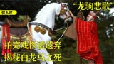 西游记“5号演员”白龙马，被当景物展览，最终曝尸荒野无人收尸