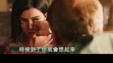 《阿丽塔：战斗天使》官方中文第二版