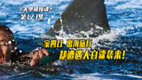 2010年恐怖惊悚电影《大堡礁惊魂》震撼来袭！大白鲨恐怖登场！