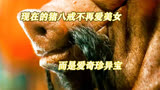 现在版西游记