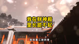 没有爱情可以，但是没钱真不行~#财神 #cheems