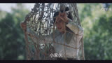 虎鹤妖师录精彩看点