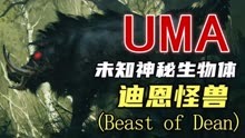 【UMA系列】第九期：肯尼亚丛林海象