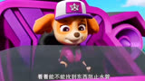 汪汪队立大功汪汪队必须解除危机让大家都平平安安的