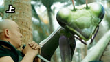 荒岛惊魂：探险队遇巨螳螂，人类与自然的恐怖较量