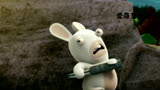 兔子大战跳蚤1，兔子会赢吗？疯狂的兔子 搞笑 搞笑视频 动画 精彩片段 动漫 一定要看到最后 下集更精彩 持续关注持续精彩_7106563183275527432