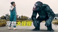 《猎奇短片小视频》 2024-01-07