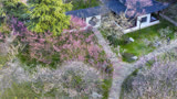 春天来了！金陵城花开如海美到窒息