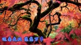 《康熙微服私访记》屠洪刚这首《江山无限》戏歌结合，太好听了