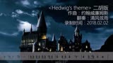 【二胡】哈利波特主题曲＜Hedwig＇s theme＞