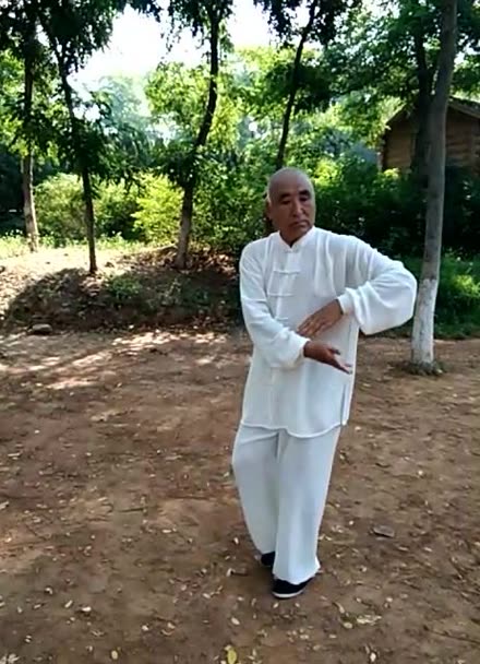 孙式73式太极拳.