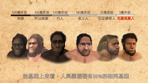 人类进化 地猿 巧人 直立人 尼安德塔人 人类与黑猩猩98%基因相似