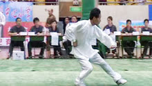 2004年全国传统武术交流大会 男子项目 117 八极拳 翟启俊（