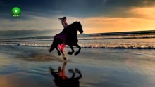 成群的骏马奔跑在海边，画面太美了！