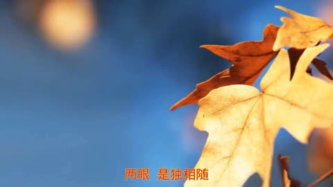 一曲經典的《一人我飲酒醉》乾淨透徹,嗓音清澈,推薦