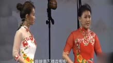 [图]河南坠子《借髢髢》唱段，两位美女一唱一答，听得让人陶醉不已