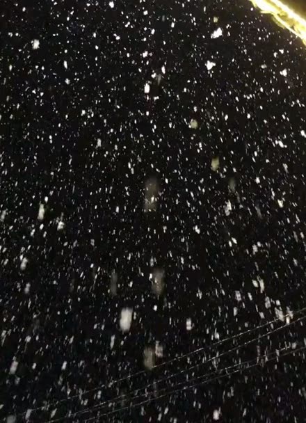 陪你看漫天雪花飛舞