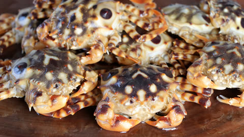 真正的野生老虎蟹,饭饭简单一做,就成了餐桌上的美味
