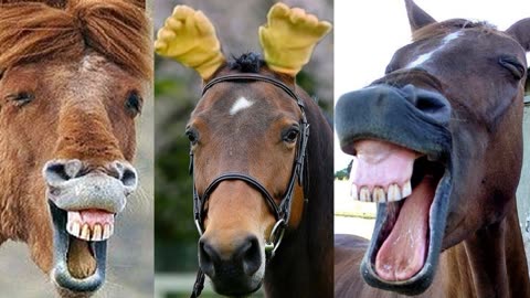 马会生活幽默 全年图片