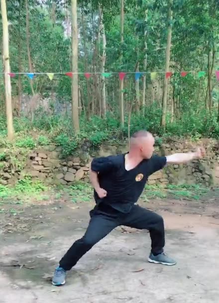 20秒,让你学会少林八步连环拳