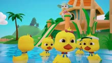 5只小鸭子学游泳学儿歌
