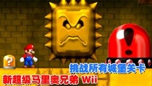 新超级马里奥兄弟Wii：完美挑战所有城堡关卡！