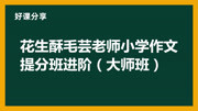 花生酥毛芸老师小学作文提分班初阶/进阶知识名师课堂爱奇艺