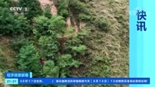 2021年8月16日【CCTV2经济信息联播甘肃天水三轮车坠崖2人被困 
