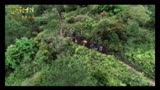 毛泽东在才溪